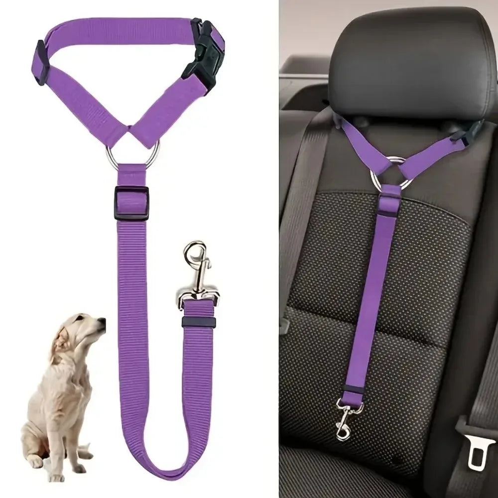 Ceinture de sécurité pour animaux de compagnie réglable